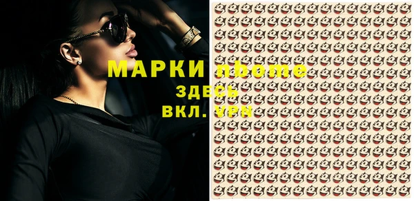 трава Сясьстрой