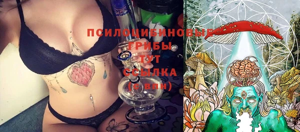 индика Магадан