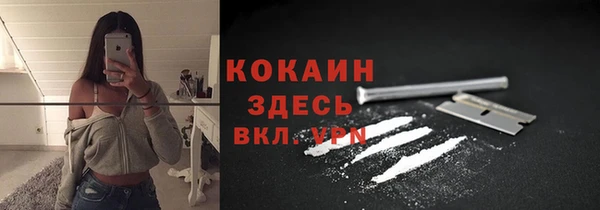 индика Магадан